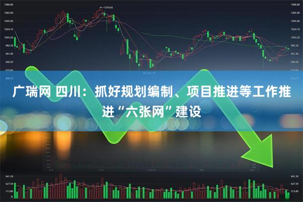 广瑞网 四川：抓好规划编制、项目推进等工作推进“六张网”建设
